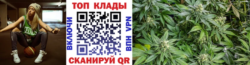 Где продают наркотики Сланцы Альфа ПВП  Псилоцибиновые грибы  Кокаин  Гашиш 
