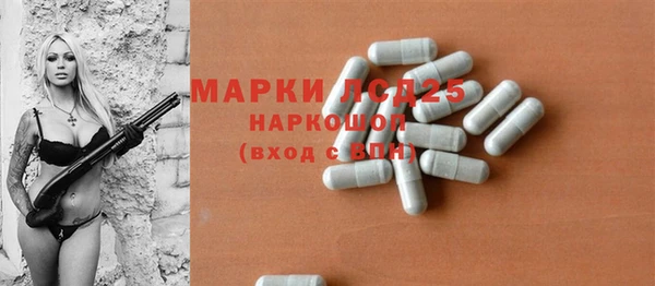 прущие грибы Баксан