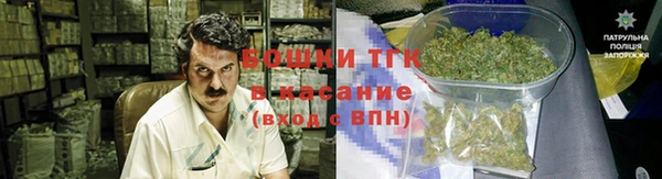 прущие грибы Баксан