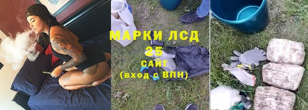 прущие грибы Баксан