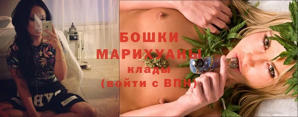 прущие грибы Баксан