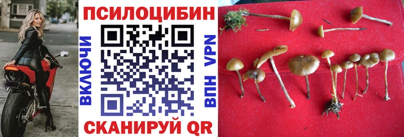 как найти закладки  Сланцы  Галлюциногенные грибы мухоморы 